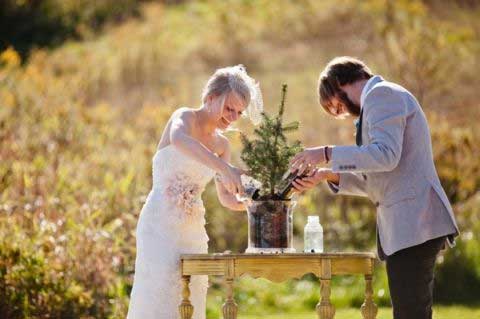 Plantar un árbol en la boda